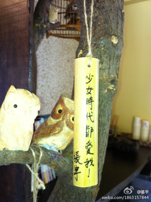 張宇 微薄