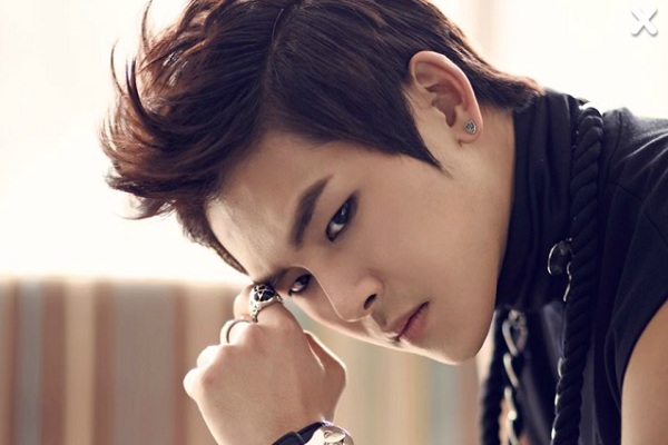 INFINITE - Hoya (Kpopn)