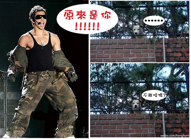 Rain 推特 錢包