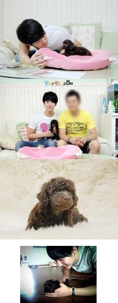 SS501 金亨俊 寵物狗