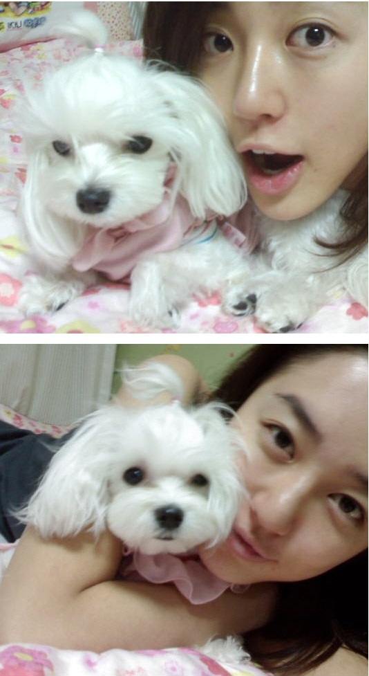 尹恩惠 寵物狗
