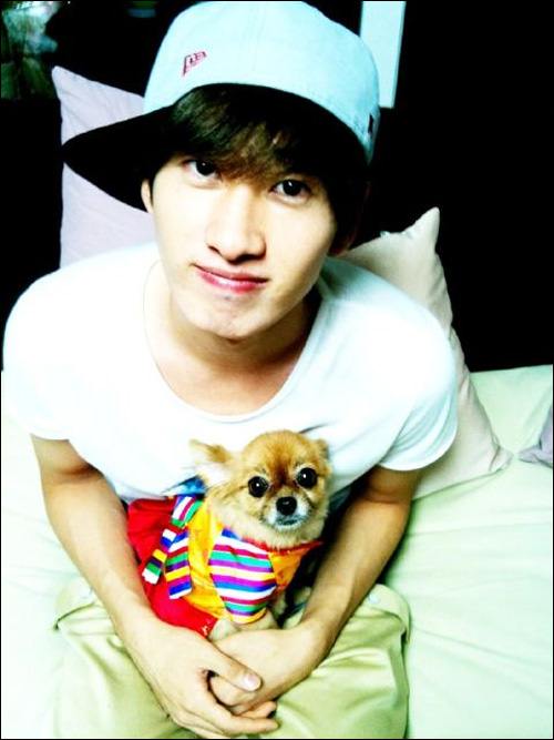 Super Junior 銀赫 寵物狗