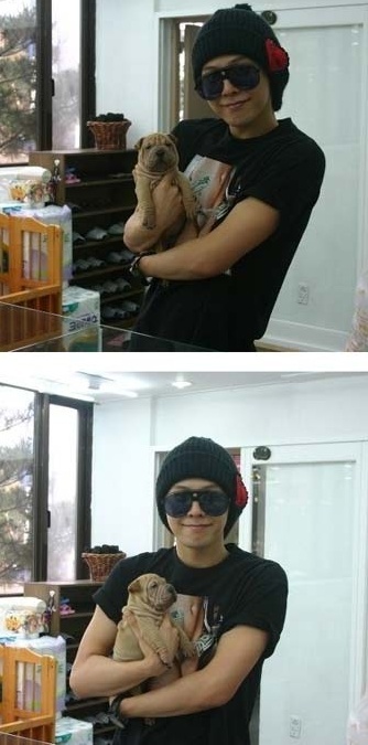 Big bang G-Dragon 寵物狗