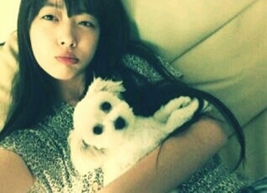 Sulli with her dog
