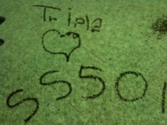 TS SS501