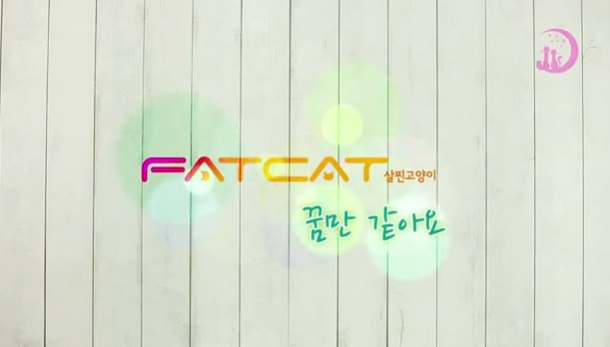 Fat Cat "Like A Dream"
