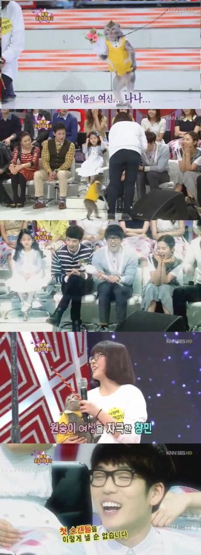 昶旻 Star King