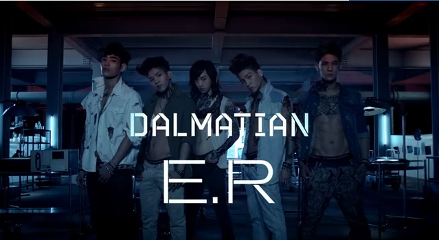 Dalmatian "E.R"