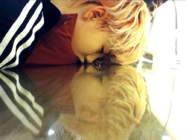 鐘業推特 ─ ZELO