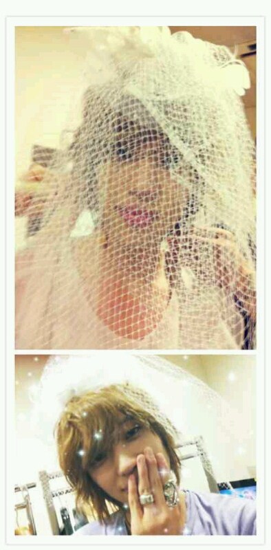 Niel (女裝) Niel (女裝)