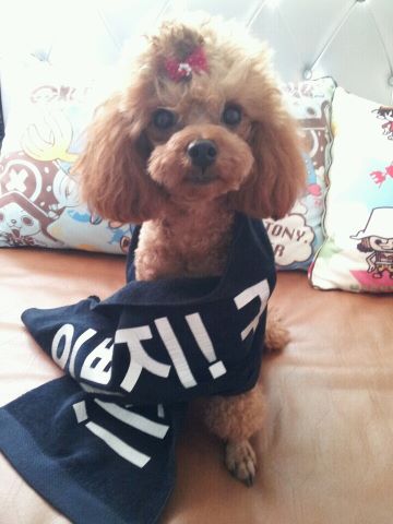 Minzy  Dougie