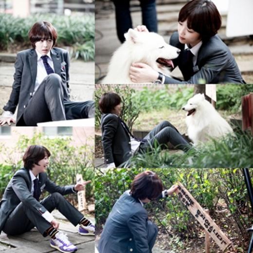 Sulli vs. 大狗