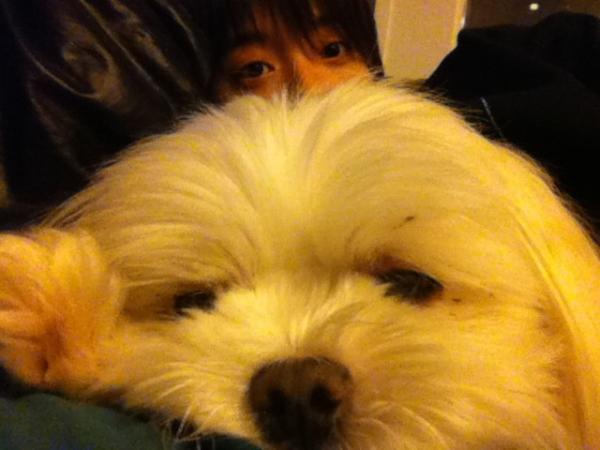 Amber & 狗狗