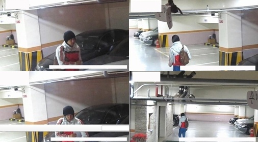 有天家停車場 CCTV 畫面