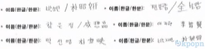 T-ara 的成員名稱漢字