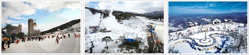 鳳凰公園滑雪場 鳳凰公園滑雪場