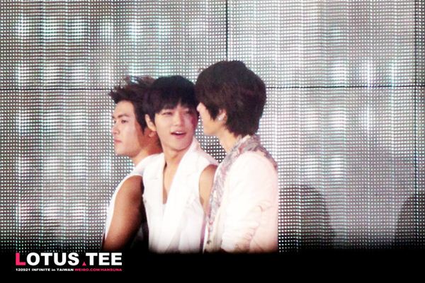 Hoya、L、成烈 Hoya、L、成烈