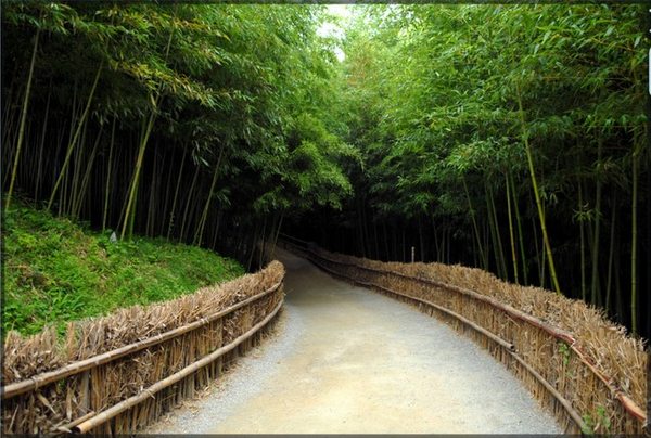 潭陽 竹林園