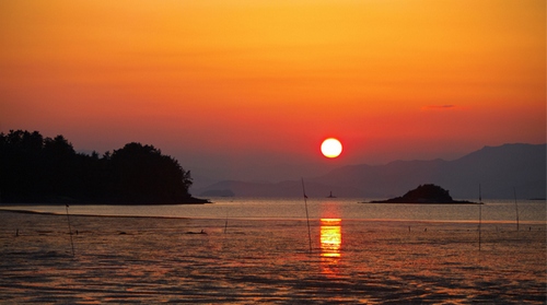 麗水 夜海