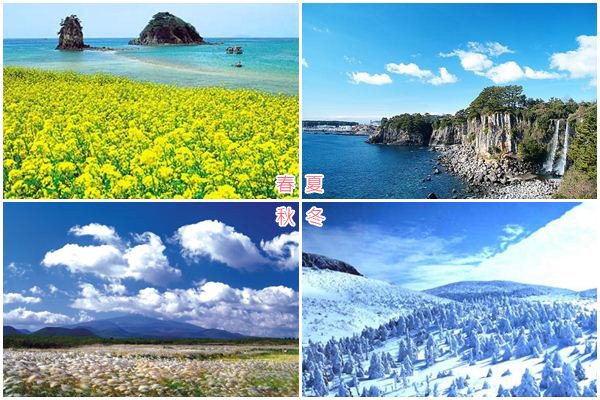 濟州島 (4季美景)