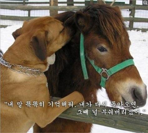 鐘鉉 121026 Twitter