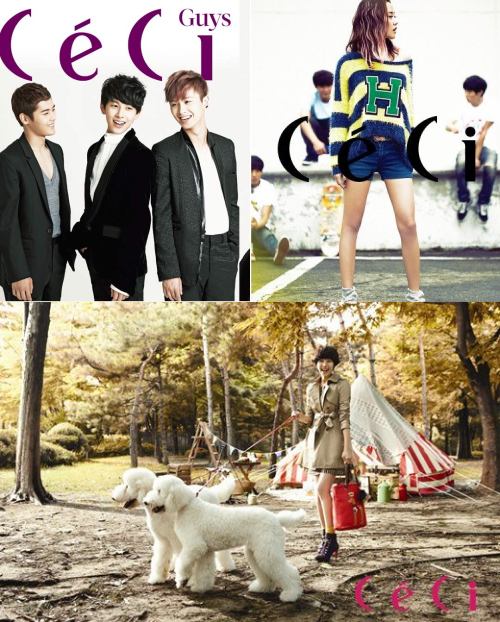 CeCi 2012 Oct.