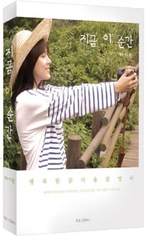 河智苑小說