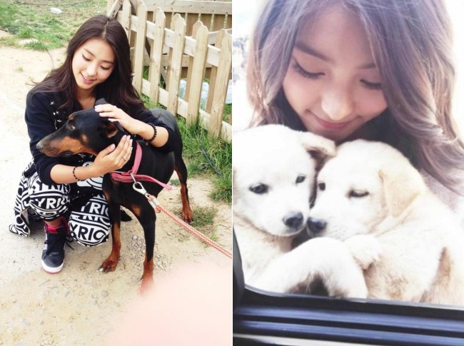 SISTAR 寶拉 & Da Som with 狗狗