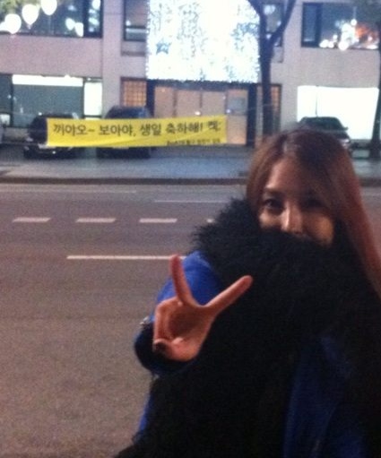 BoA & 生日應援旗 BoA & 生日應援旗
