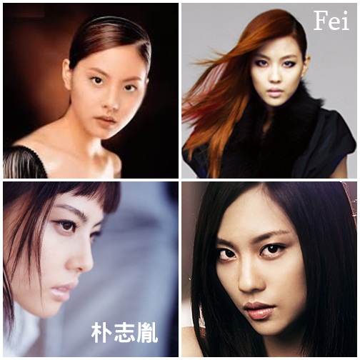 朴志胤 vs. Fei