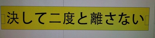 FTIsland 台北演唱會應援布條 FTIsland 台北演唱會應援布條