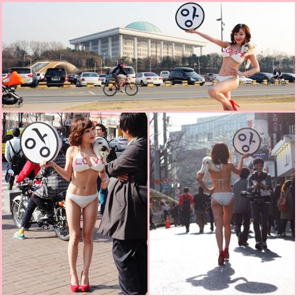 Nancy Lang 投票