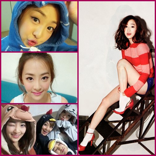 多順 SISTAR 拼圖