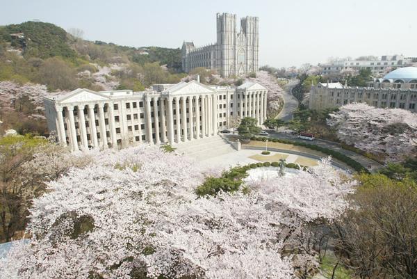 慶熙大學 