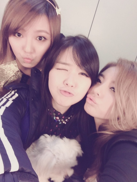 Min、珉娥、Ailee
