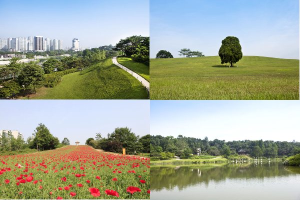 奧林匹克公園