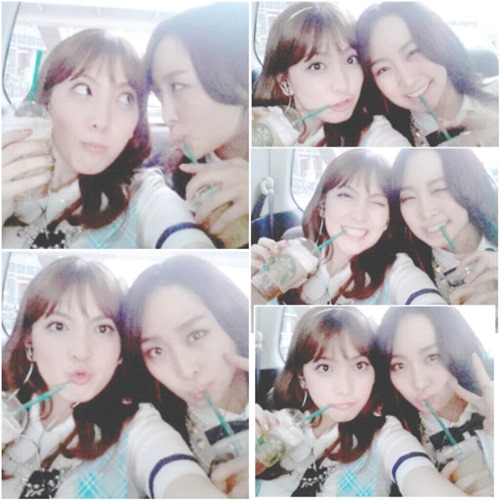 知英、Nicole