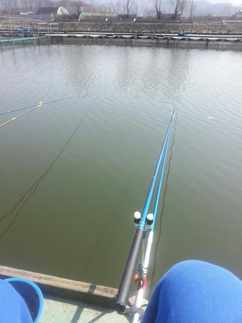 釣魚的鍾訓