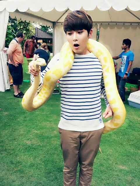 Super Junior 厲旭 蛇 推特