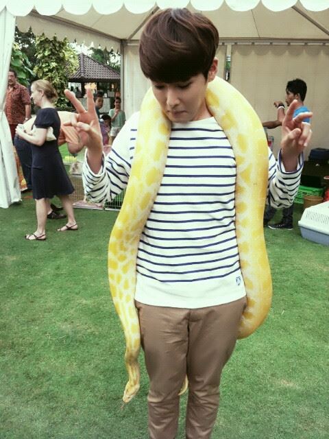 Super Junior 厲旭 蛇 推特