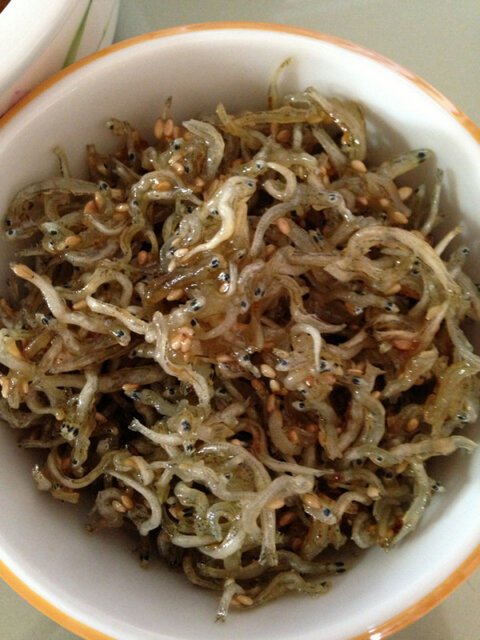銀赫 鯷魚