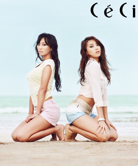 SISTAR19 CECI 