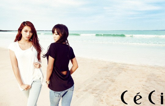 SISTAR19 CECI