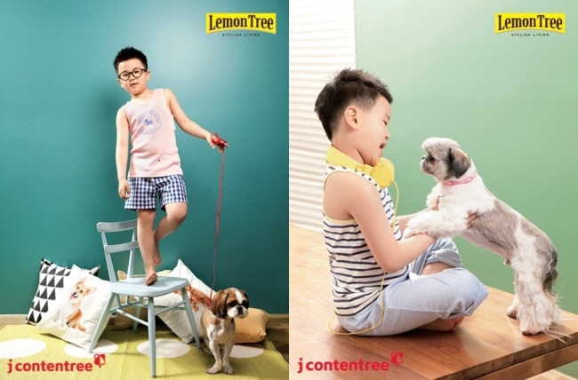 尹厚 x Lemon Tree