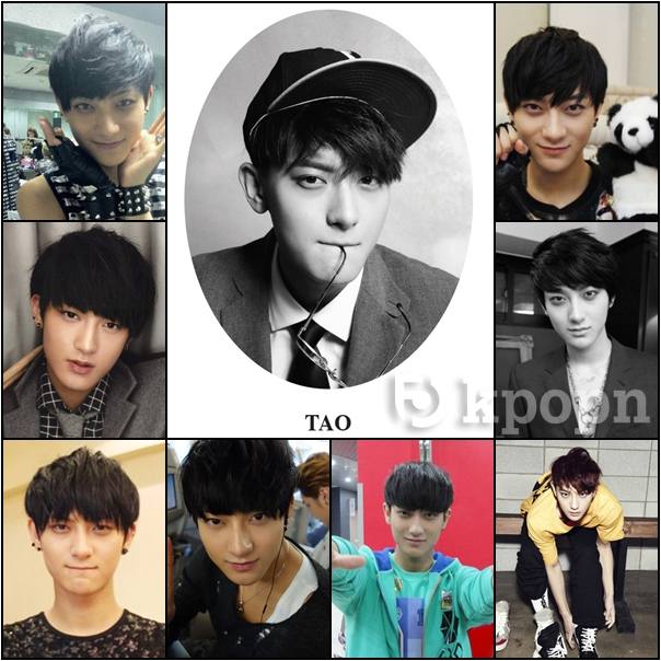 認認樂：TAO