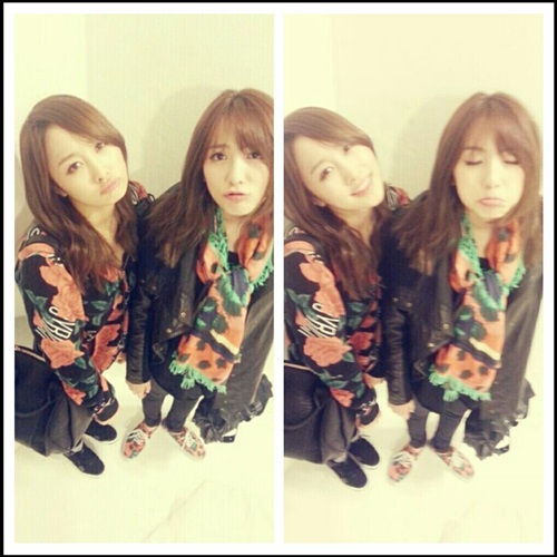 知英、Nicole