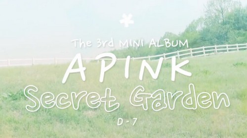 A Pink 回歸 D-7