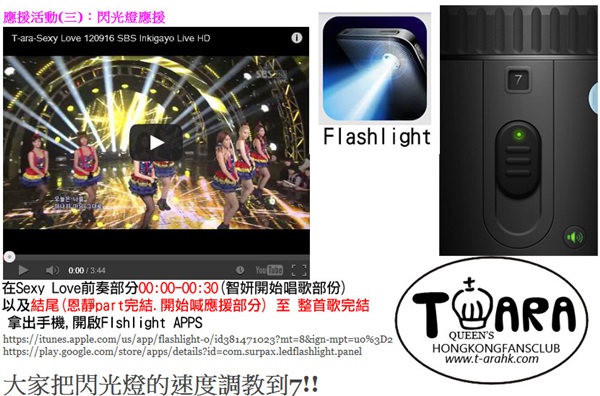 T-ara 閃光燈 (香港演唱會)