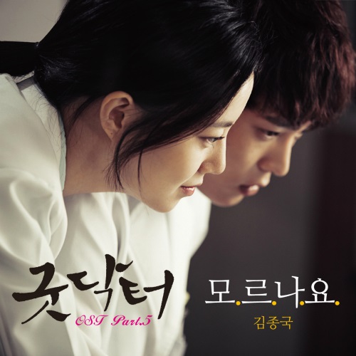 Good Doctor 第五波 OST 封面