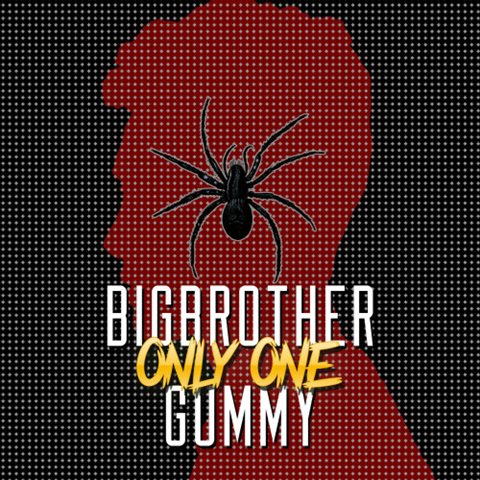 Gummy、Big Brother 新曲封面 Gummy、Big Brother 新曲封面